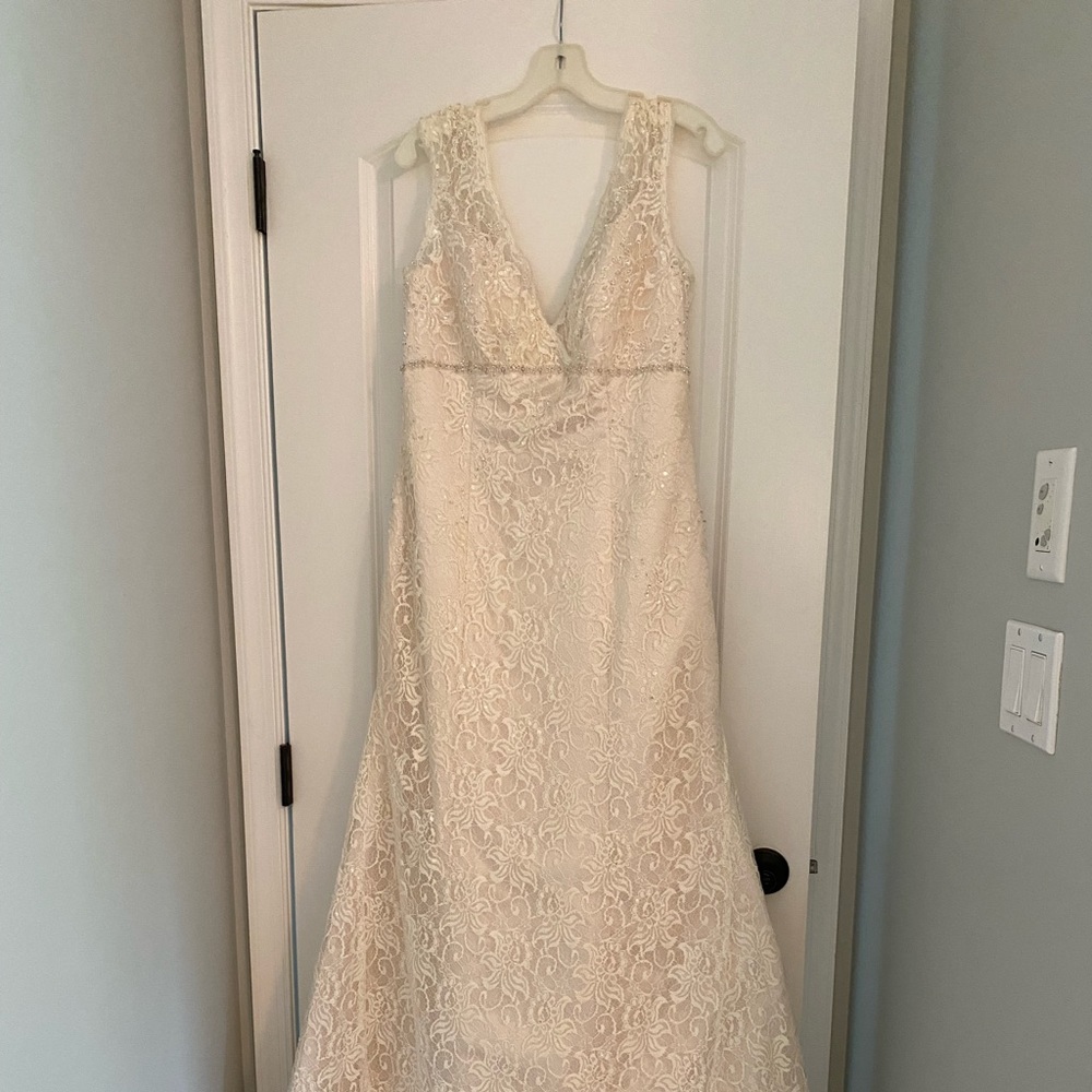 Brand new, never worn David’s Bridal Beaded Lace Wedding Gown in Ivory-Champagne - Picture 1 of 5